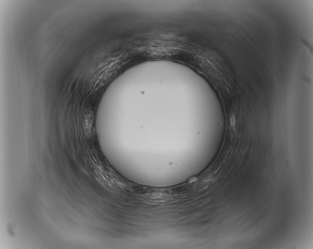 X0000100411300200806201750