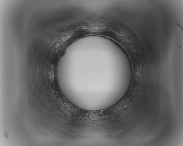 X0000100411301200806201750