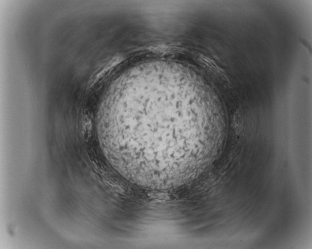 X0000100411302200806201750