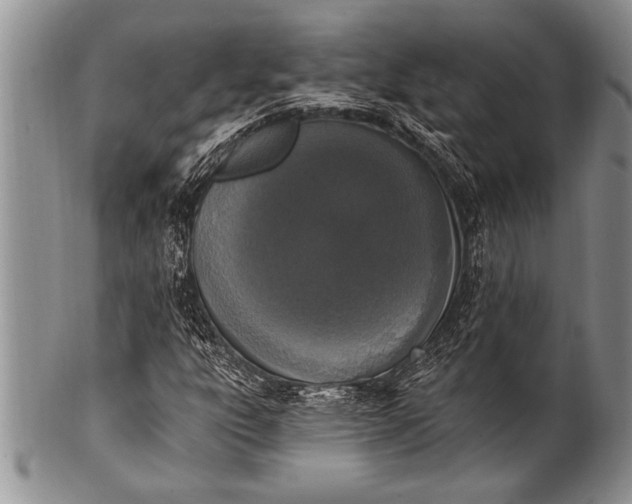 X0000100411303200806201750