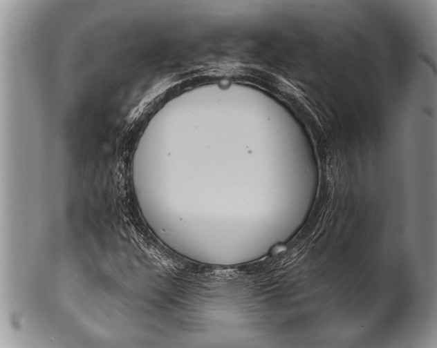 X0000100411304200806201750