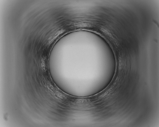 X0000100411305200806201750