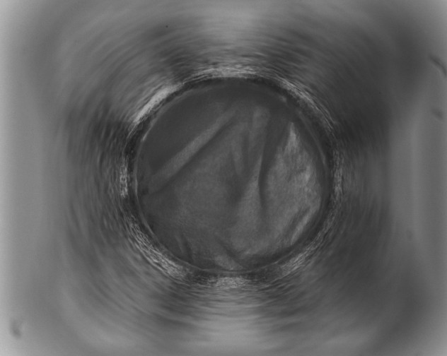 X0000100411306200806201750