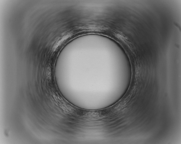 X0000100411307200806201750