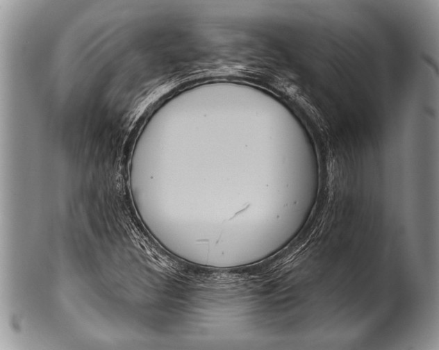 X0000100411308200806201750