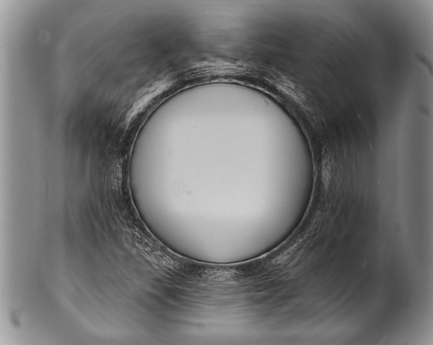 X0000100411309200806201750