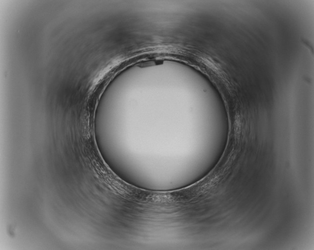 X0000100411310200806201750