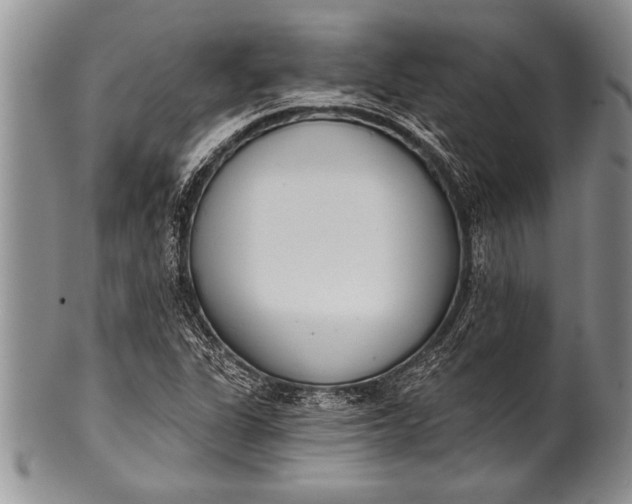 X0000100411311200806201750