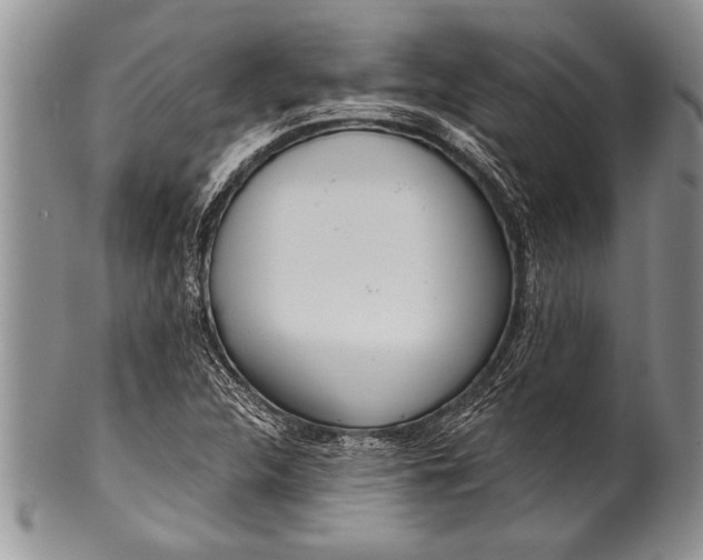 X0000100411312200806201750