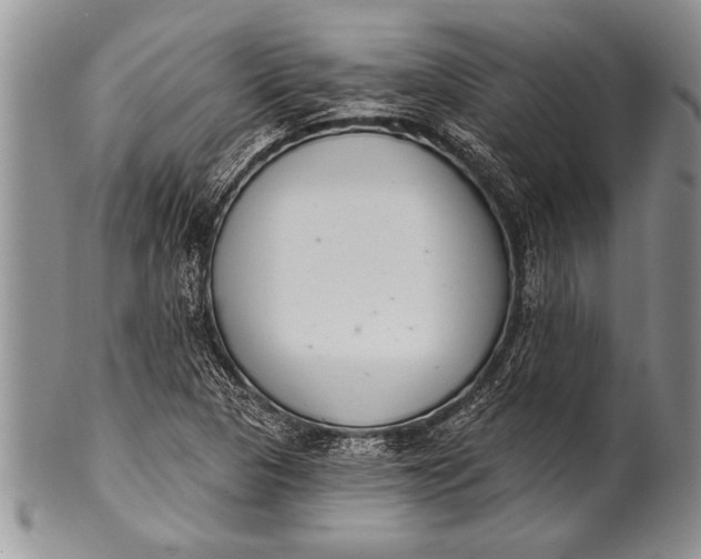 X0000100411313200806201750