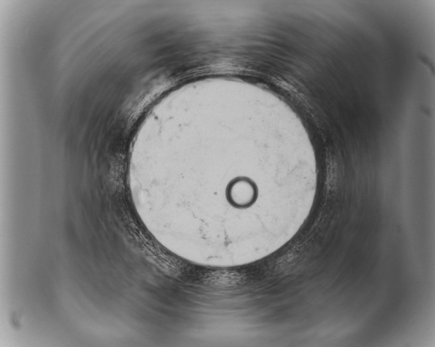 X0000100411314200806201750