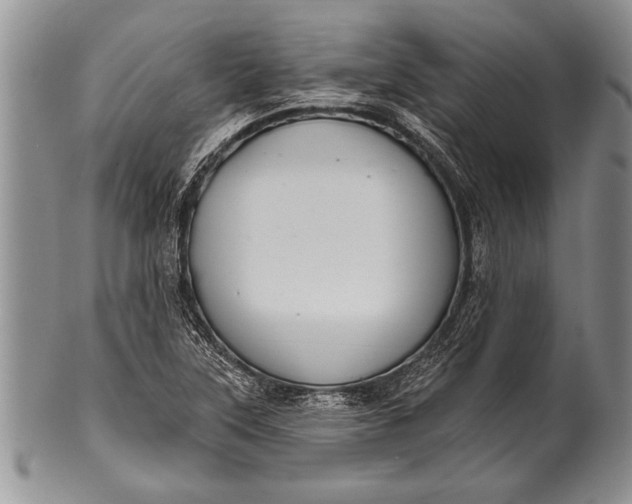 X0000100411315200806201750