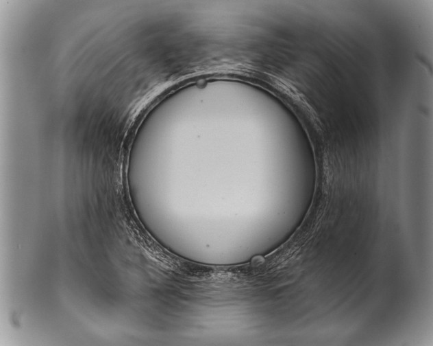 X0000100411316200806201750