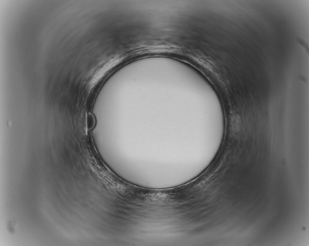 X0000100411317200806201750