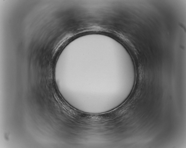 X0000100411318200806201750