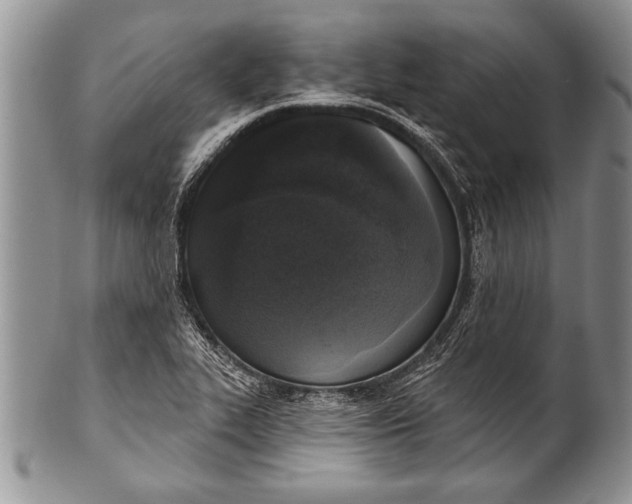 X0000100411319200806201750