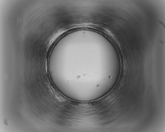 X0000100411320200806201750