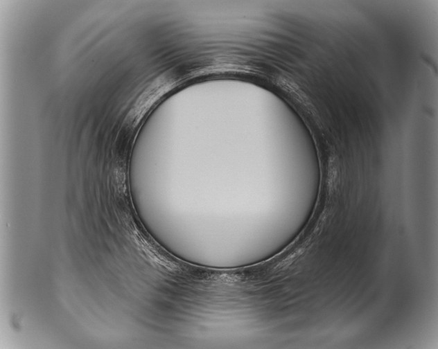 X0000100411321200806201750