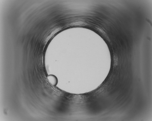 X0000100411322200806201750