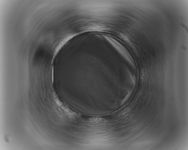 X0000100411323200806201750