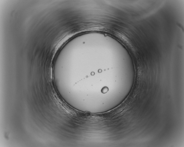 X0000100411324200806201750