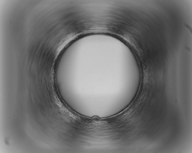 X0000100411325200806201750