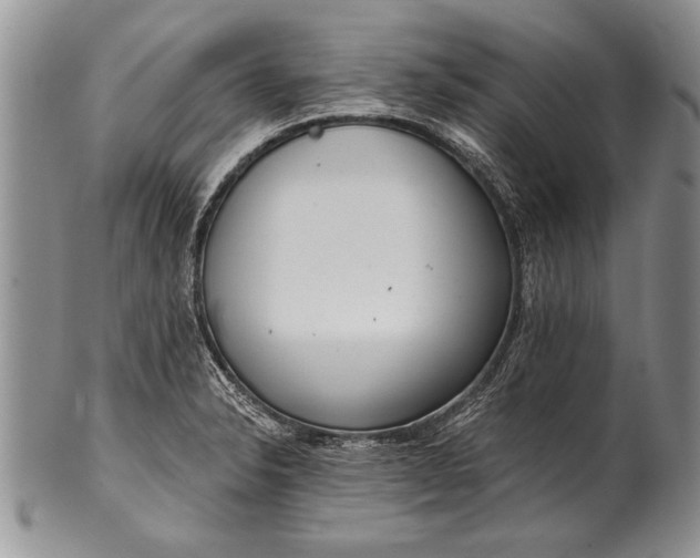 X0000100411326200806201750