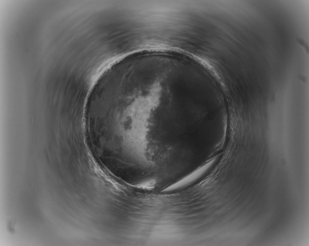 X0000100411327200806201750