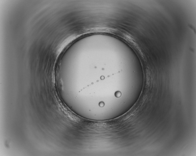 X0000100411328200806201750