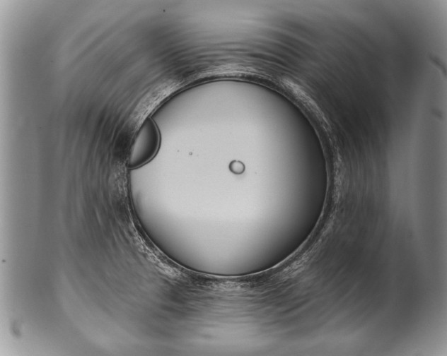 X0000100411329200806201750