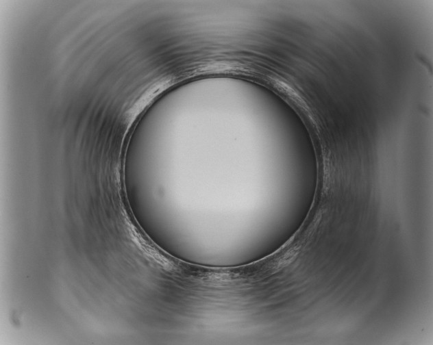 X0000100411330200806201750