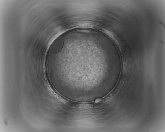 X0000100411331200806201750