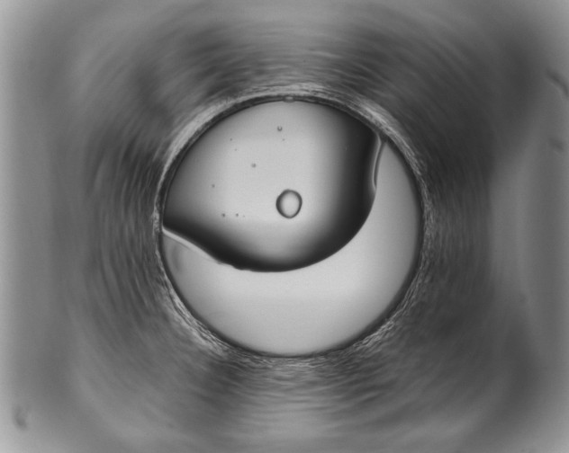 X0000100411332200806201750