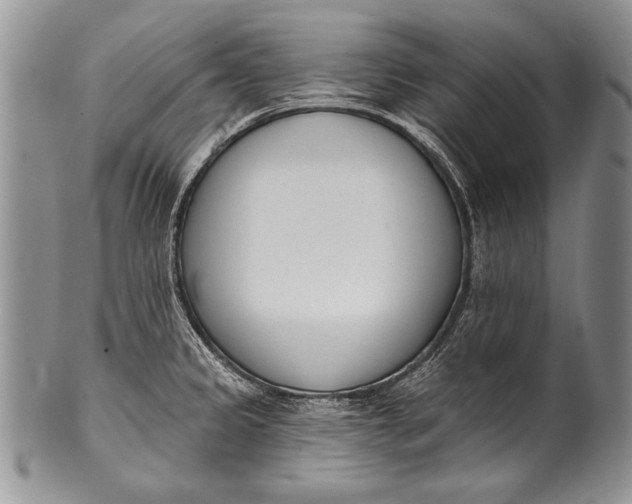 X0000100411333200806201750