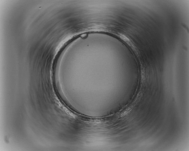 X0000100411334200806201750