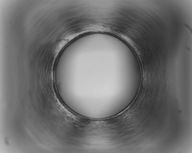 X0000100411335200806201750