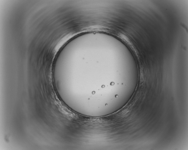 X0000100411336200806201750