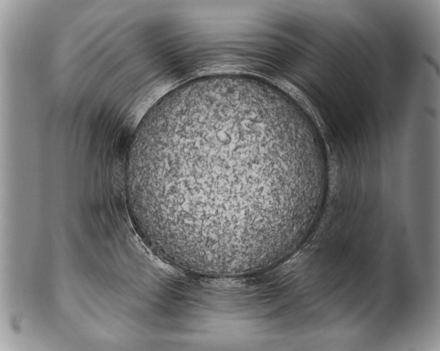 X0000100411337200806201750