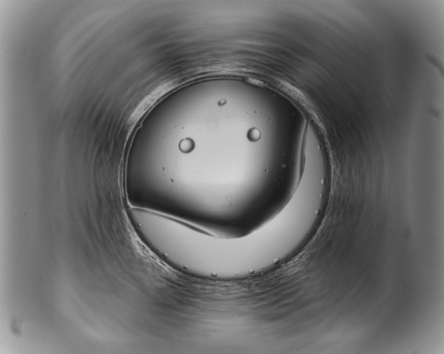 X0000100411338200806201750