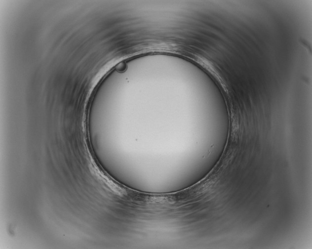 X0000100411339200806201750