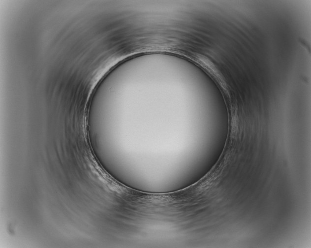 X0000100411340200806201750