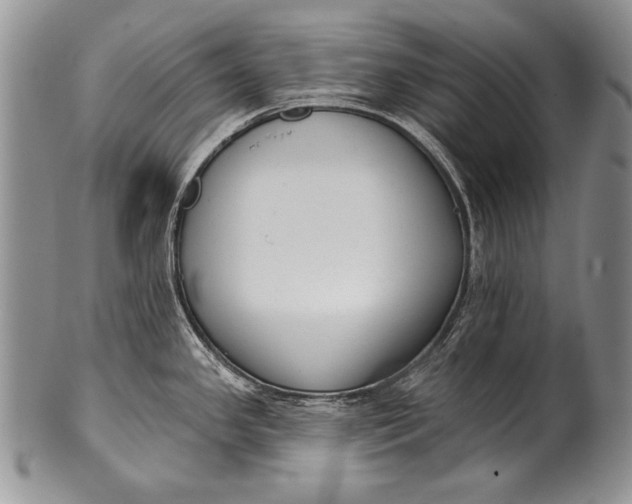 X0000100411341200806201750