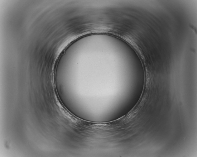 X0000100411342200806201750