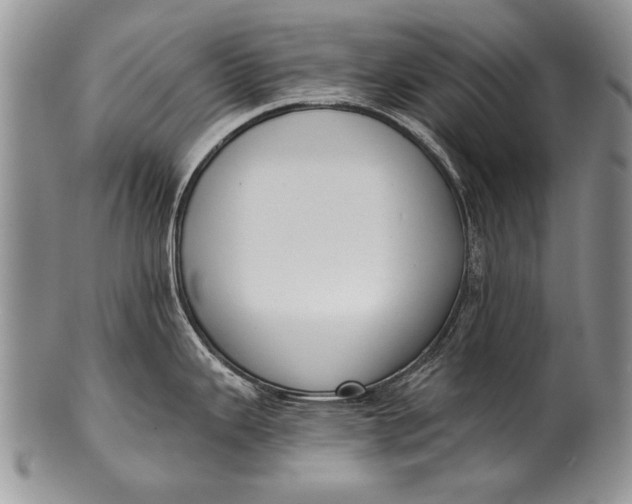 X0000100411343200806201750