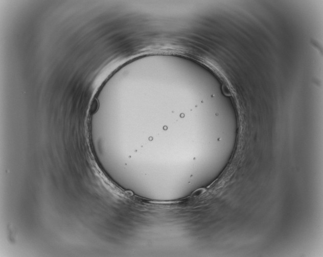 X0000100411344200806201750