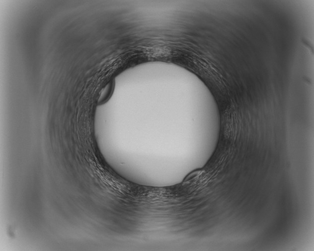 X0000100411345200806201750