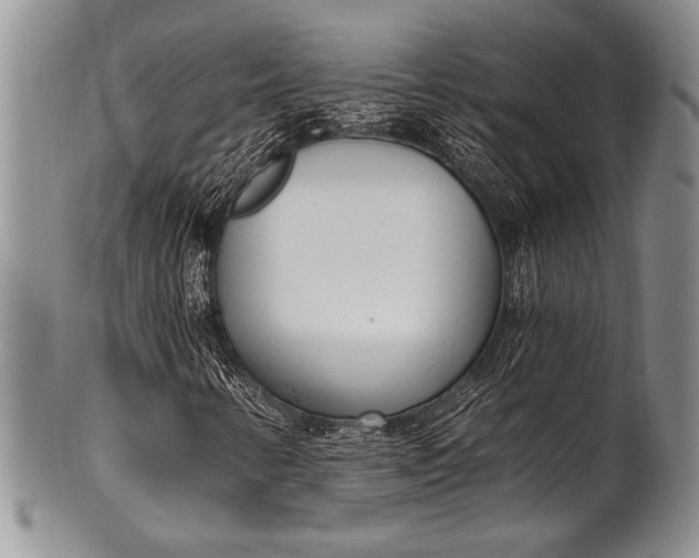 X0000100411346200806201750