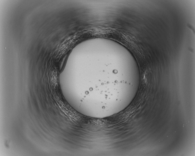 X0000100411348200806201749