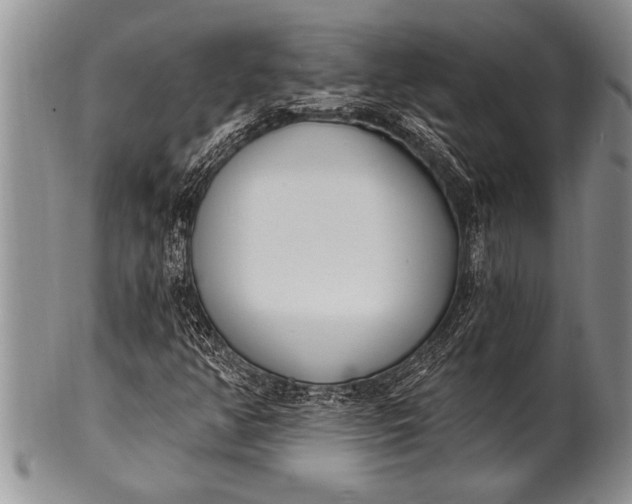 X0000100411350200806201749