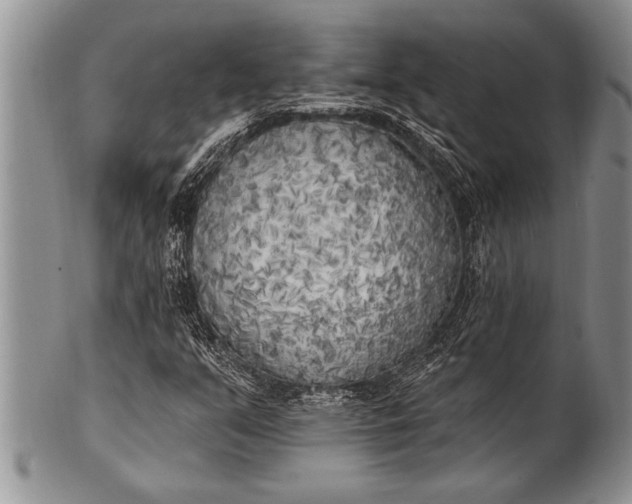 X0000100411351200806201749